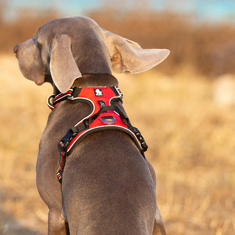 Truelove Reflective Adjustable Dog Harness