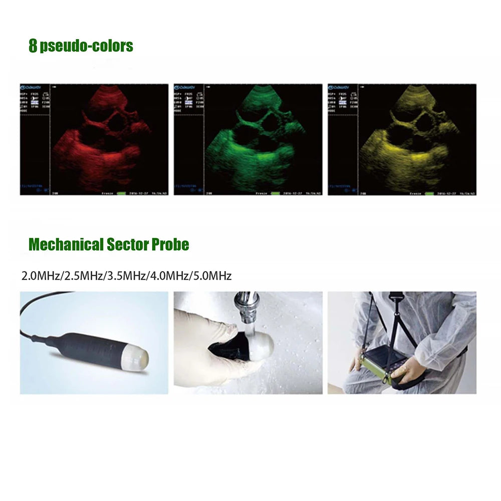 DAWEI Portable Veterinary Ultrasound Scanner With Probe