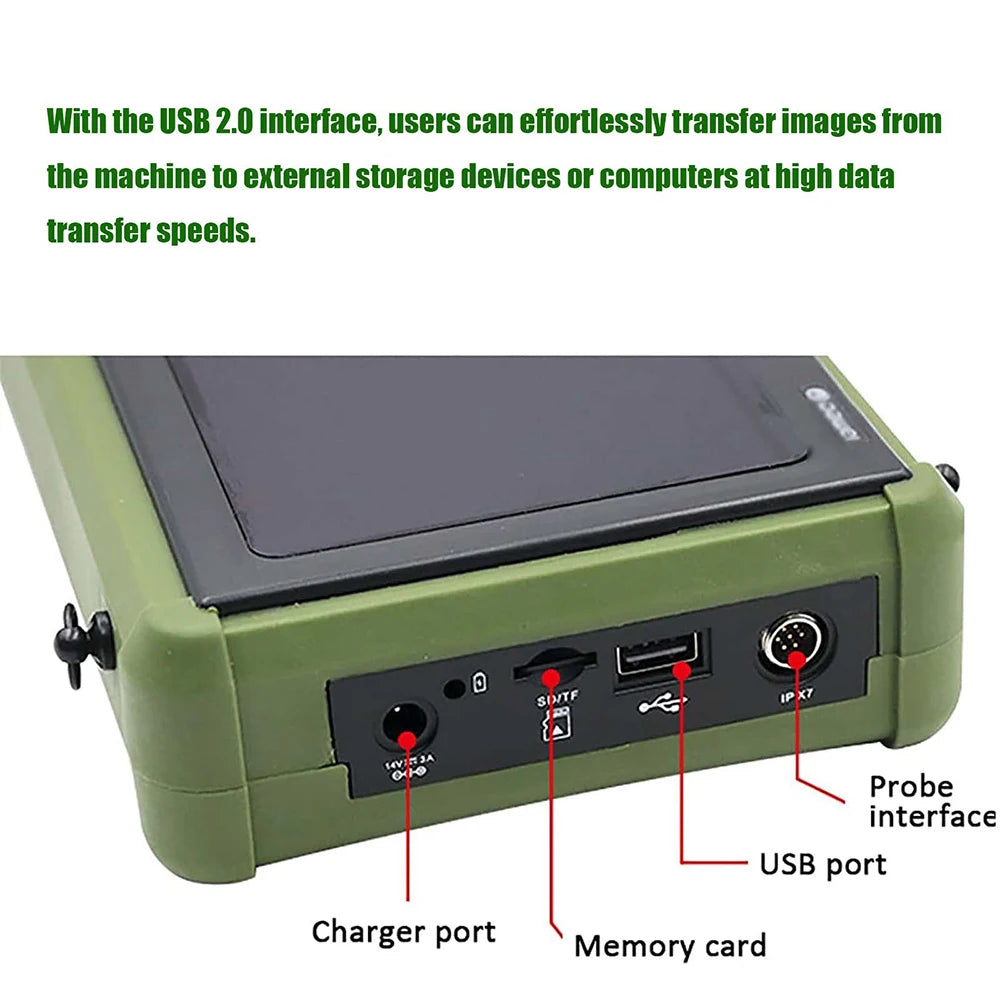 DAWEI Portable Veterinary Ultrasound Scanner With Probe