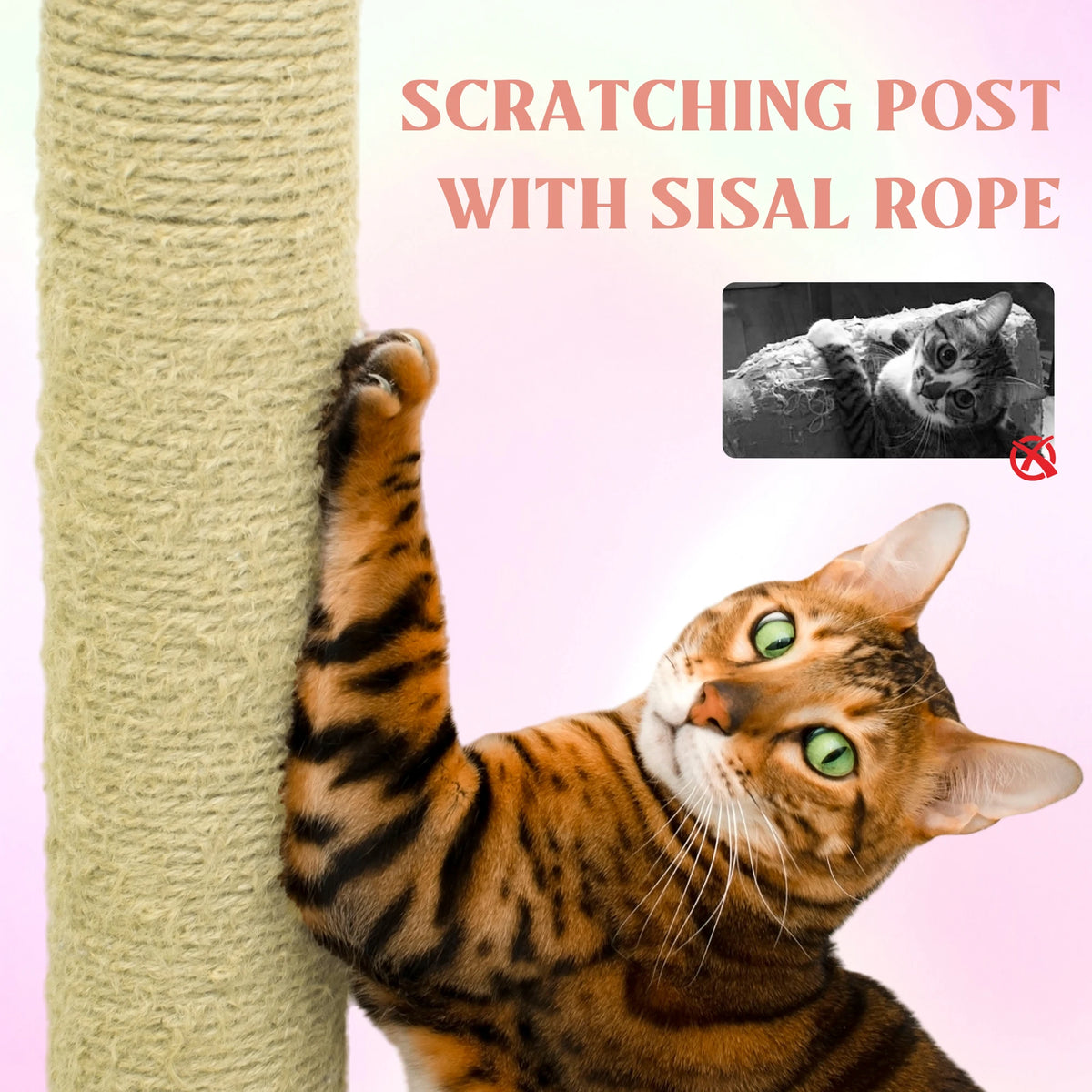 Flower Cat Tree with Cushion Hammock and Scratching Post