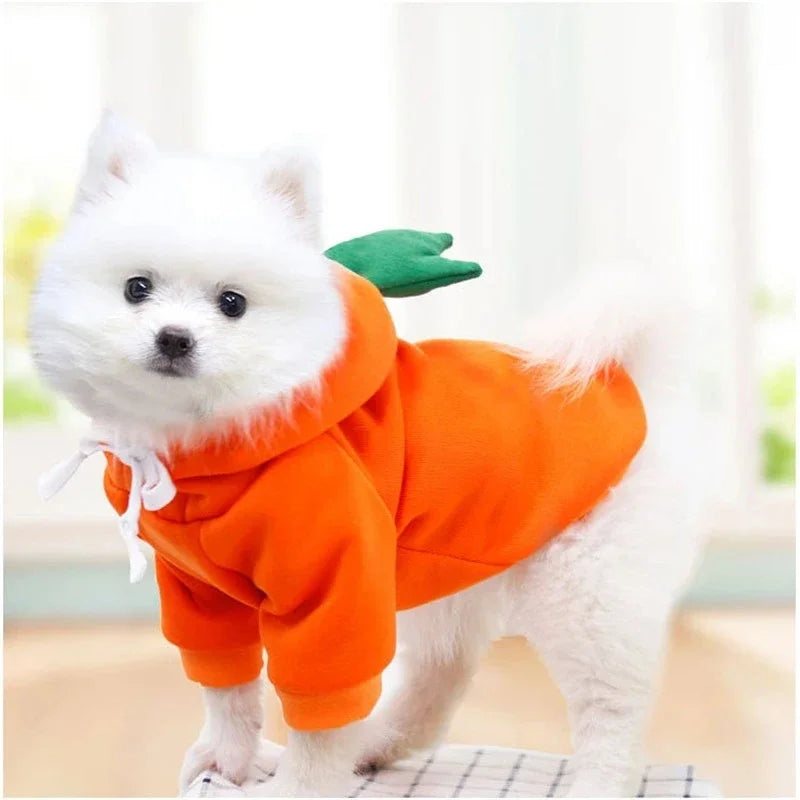 Wangmeow Warm Fleece Fruit Dog Hoodie