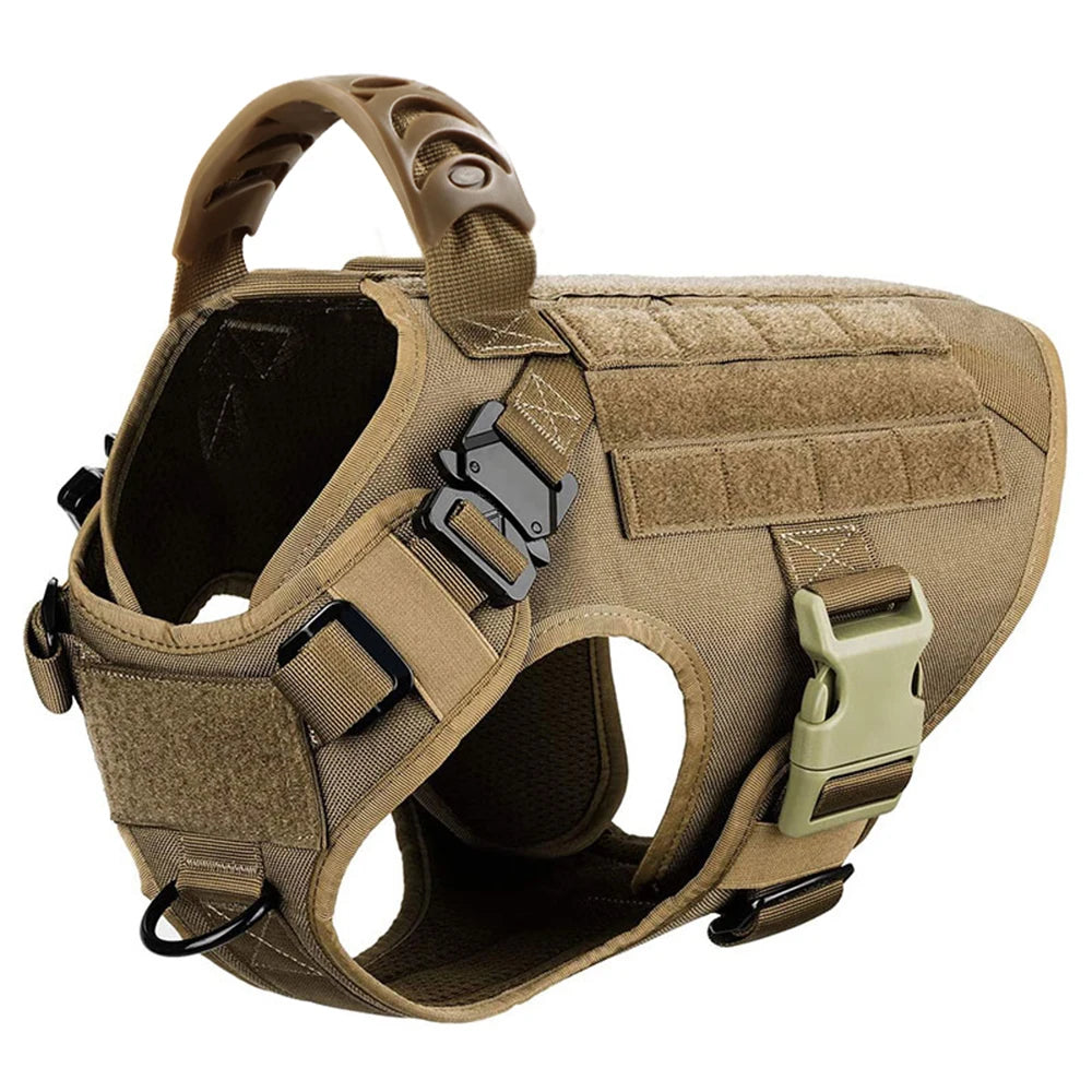 Petavel Padded Nylon Dog Harness And Leash Set