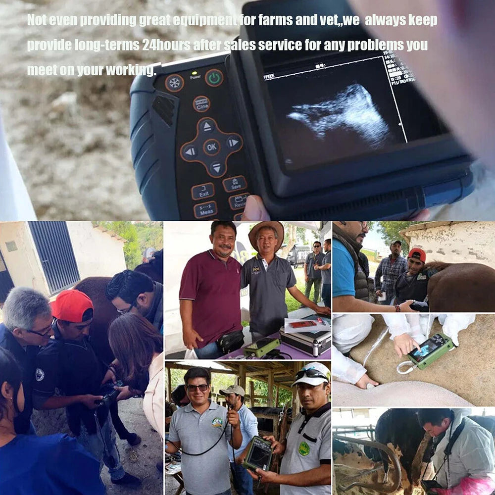 DAWEI Portable Veterinary Ultrasound Scanner With Probe