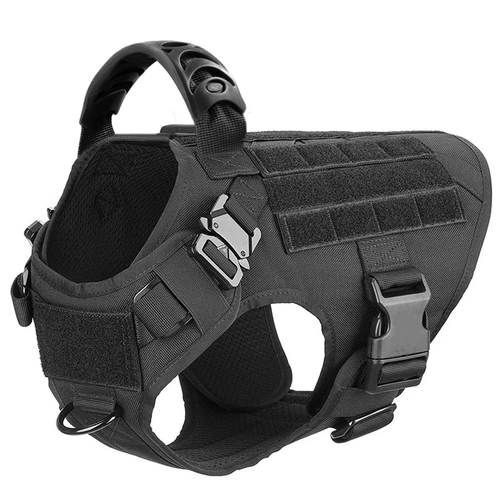 Petavel Padded Nylon Dog Harness And Leash Set