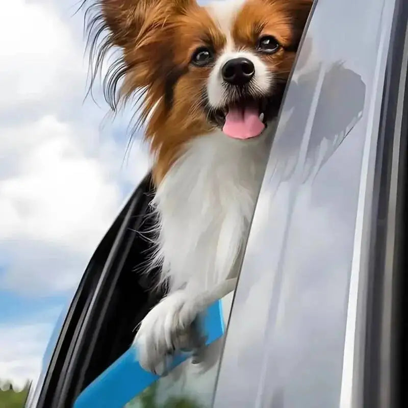Portable Pet Car Window Travel Rest Pad