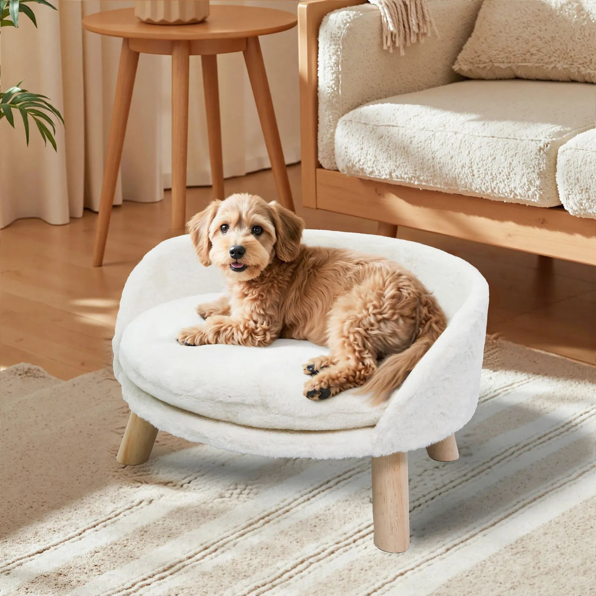 Borwart Elevated Pet Sofa With Removable Cushion