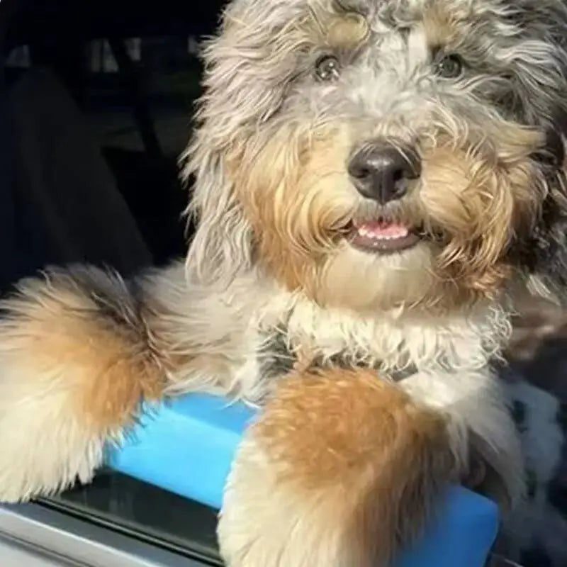 Portable Pet Car Window Travel Rest Pad