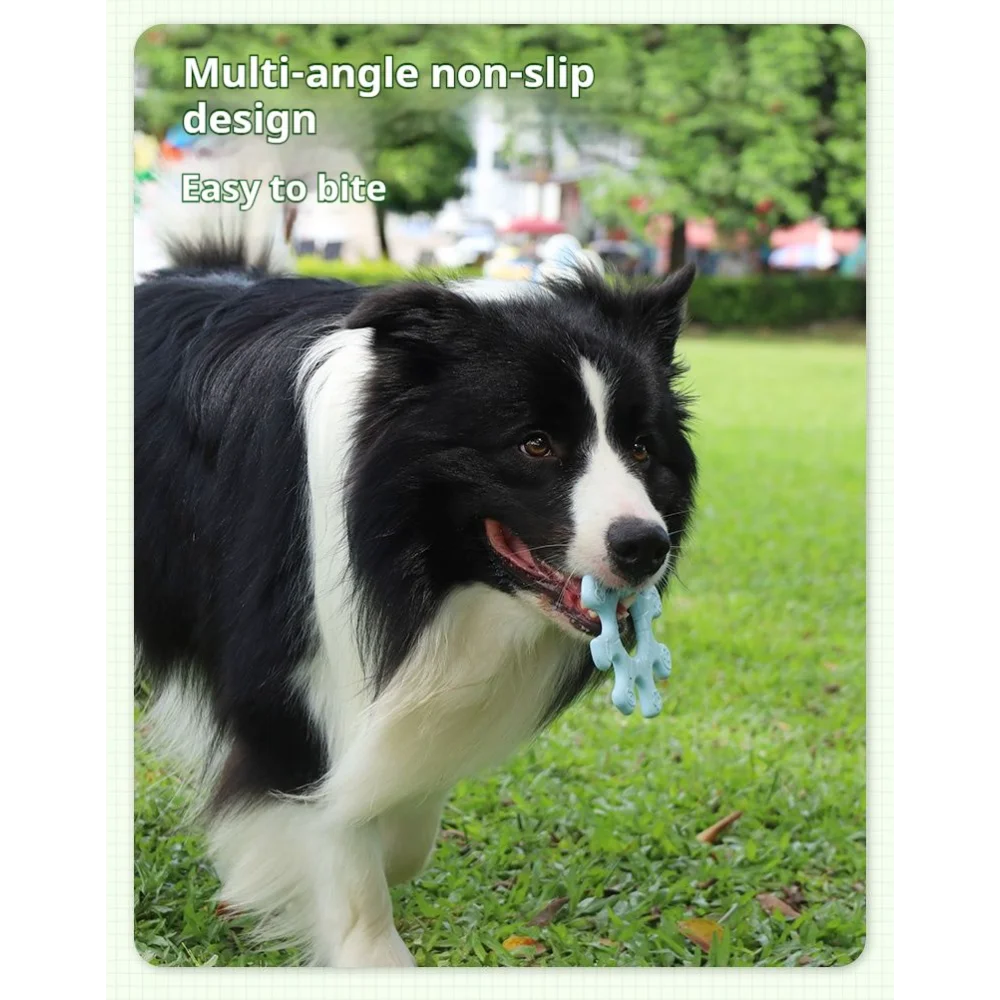 Interactive Silicone Flywheel Dog Toy