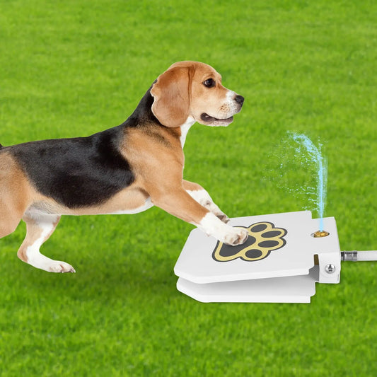 Outdoor Step On Dog Water Fountain Pet Dispenser