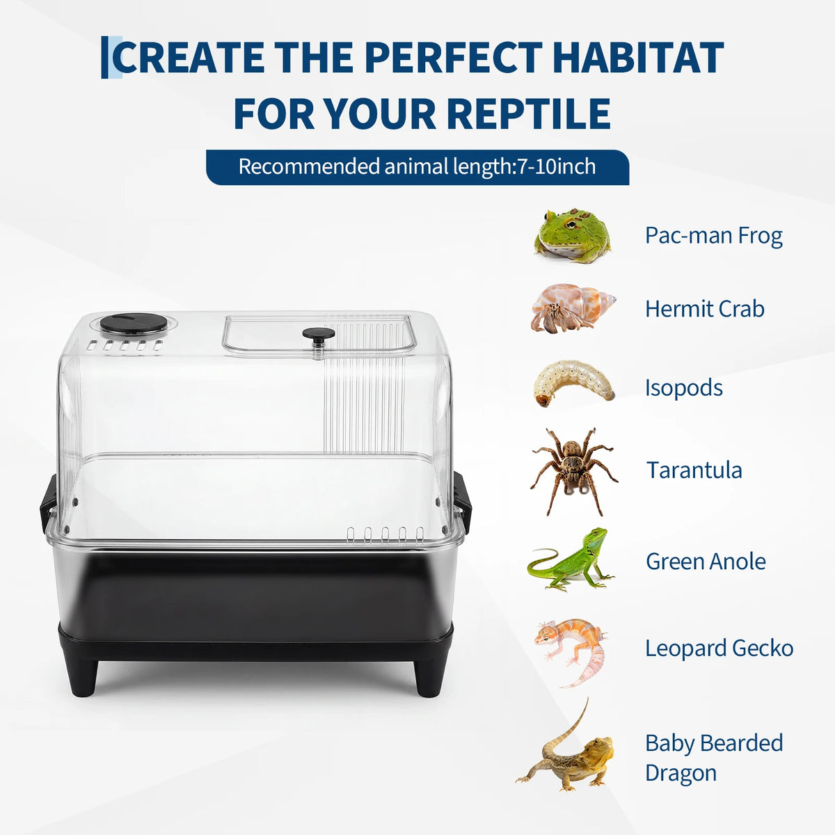 HiMISS Reptile Tank Starter Kit