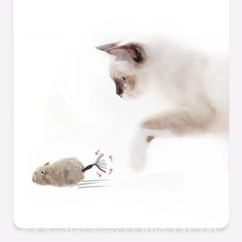 Interactive Mouse Toy For Cats And Dogs