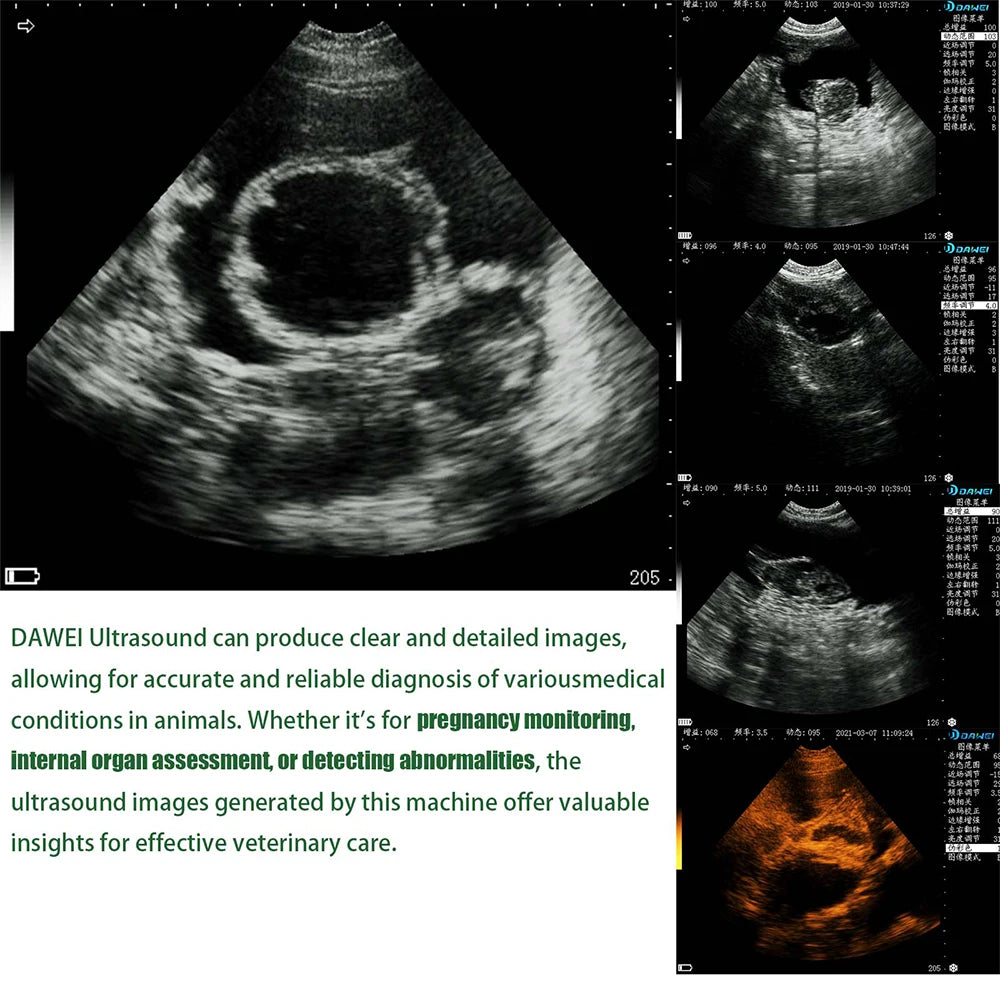 DAWEI Portable Veterinary Ultrasound Scanner With Probe
