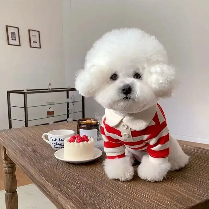 Summer Cotton Dog Cooling Polo Shirt