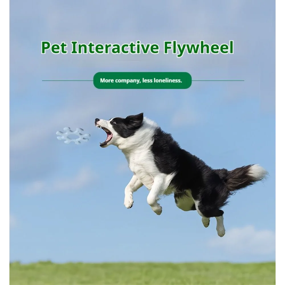Interactive Silicone Flywheel Dog Toy