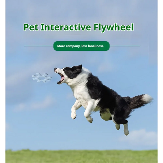 Interactive Silicone Flywheel Dog Toy