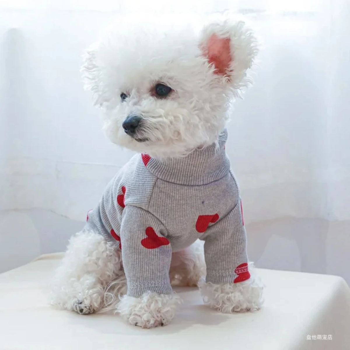 Love Printed Dog And Cat Casual Comfortable Shirt