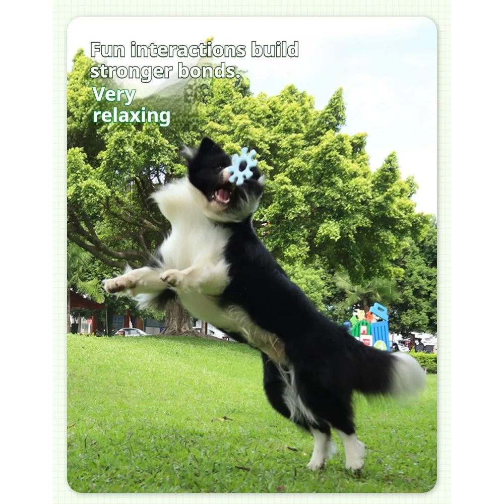 Interactive Silicone Flywheel Dog Toy