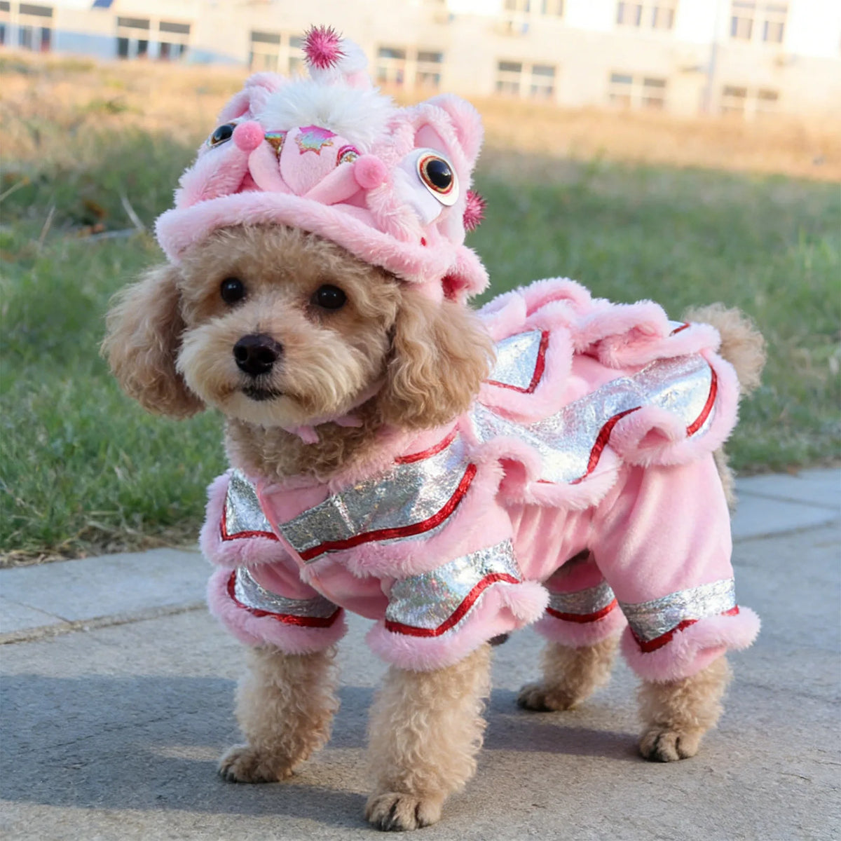 Dog Lion Dance Costume Thickened Warm Winter Petwear